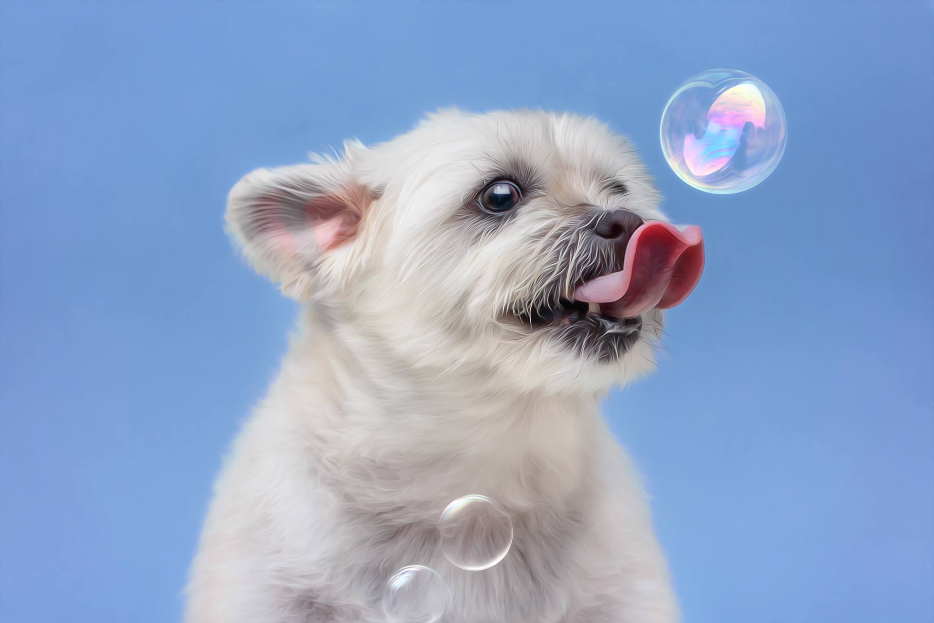 white older dog catching bubbles in his mouth during professional photography session at Moments By T Franklin Tennessee